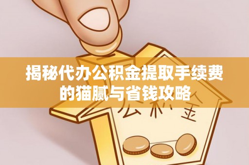 祥云揭秘代办公积金提取手续费的猫腻与省钱攻略